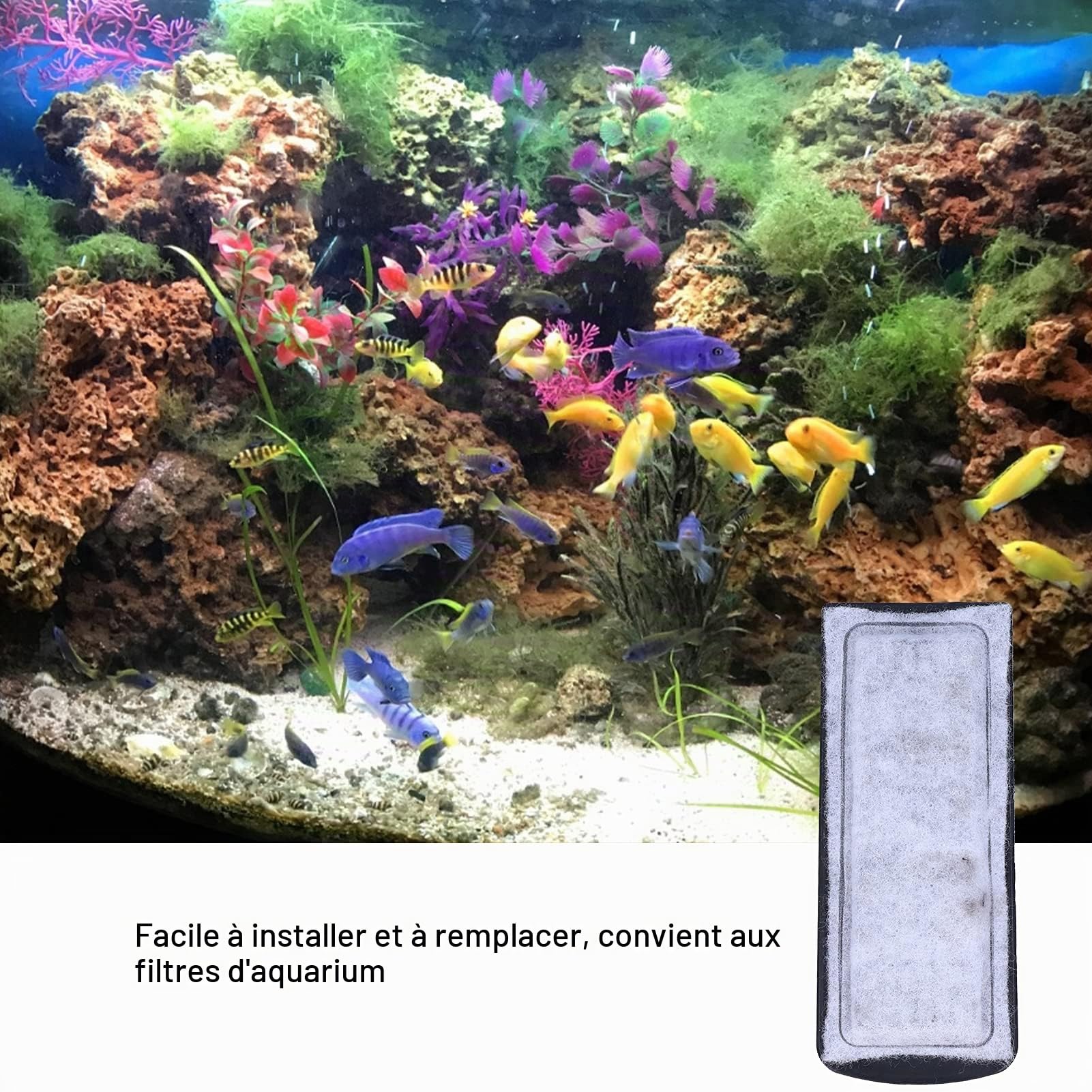Tissting PET SUPPLIES Filtre Aquarium 135x55mm Lot 6 Charbon