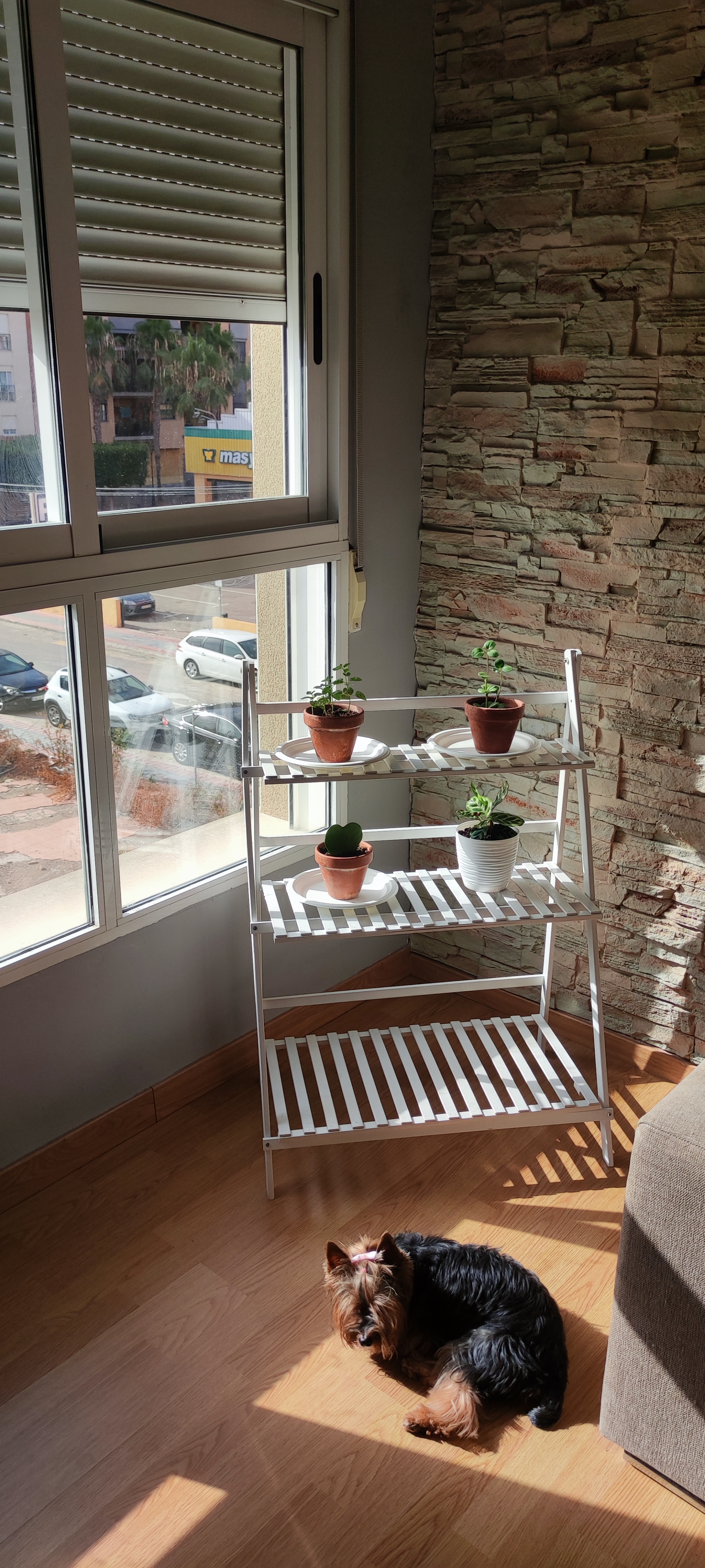 Ejoyous Étagère Plantes Bambou 3 Niveaux 70x40x96 Pliable