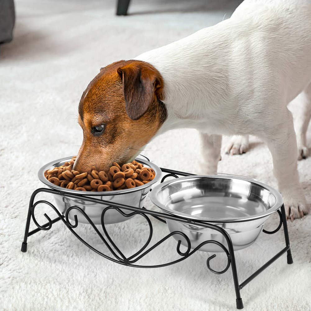 Ejoyous Living Room Gamelle Double Inox Surélevée Chien Chat