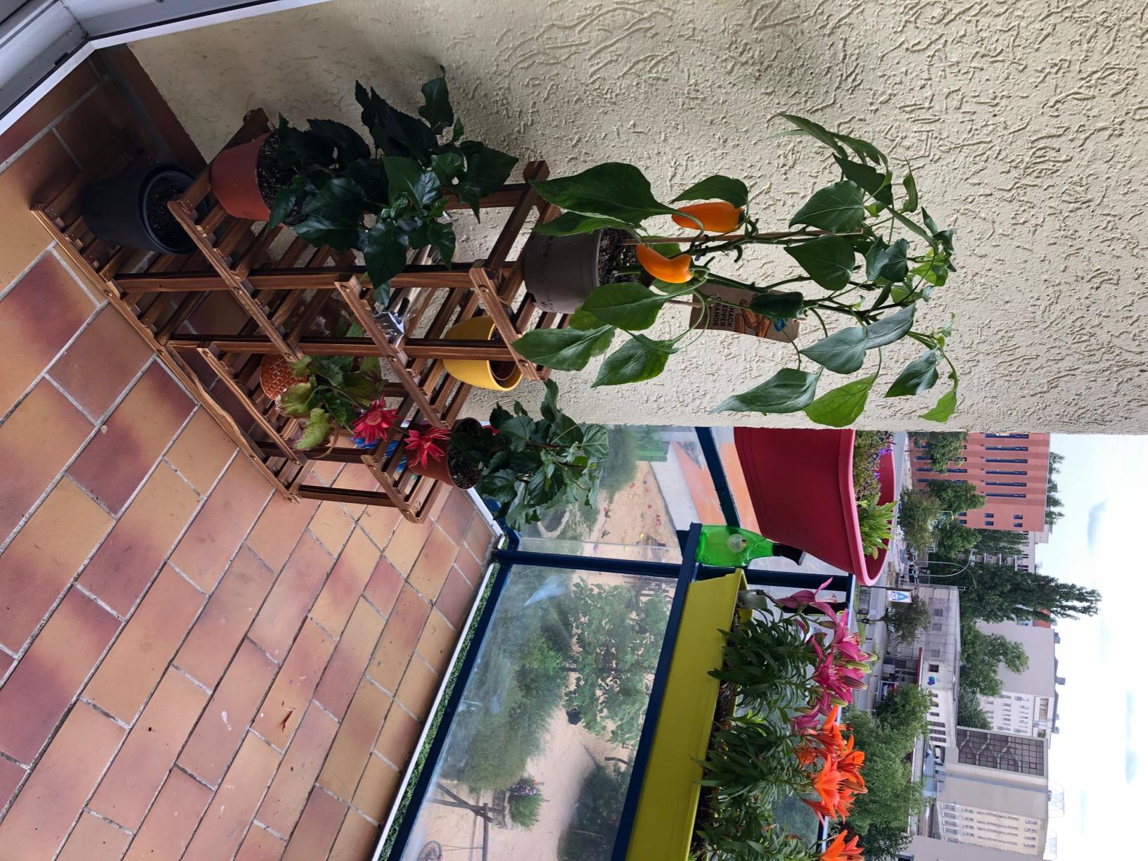 Ejoyous Garden étagère fleurs bois pin 72x72 cm