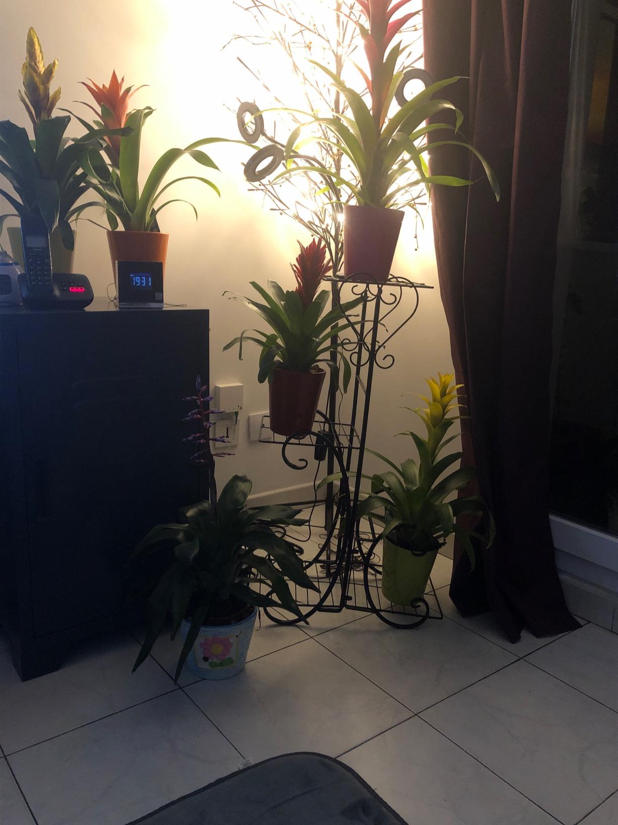 Ejoyous Garden support plantes 4 niveaux noir fer forgé