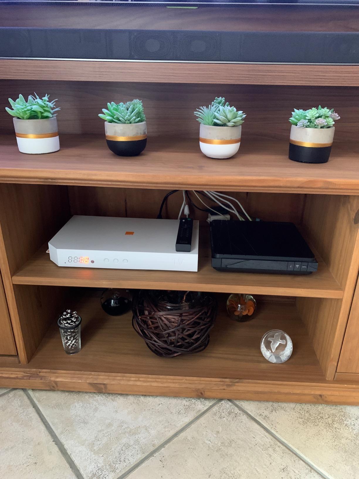 FEPITO Plantes succulentes artificielles vertes x15 mini