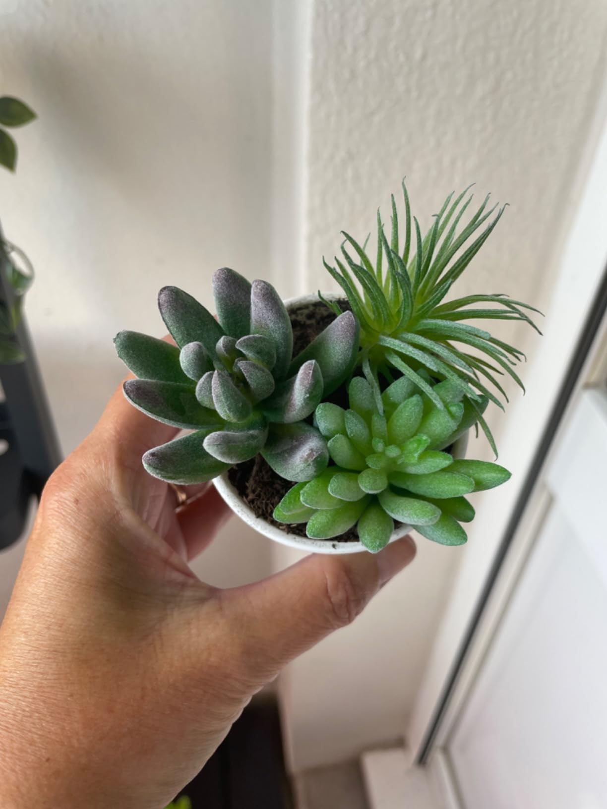 FEPITO Plantes succulentes artificielles vertes x15 mini