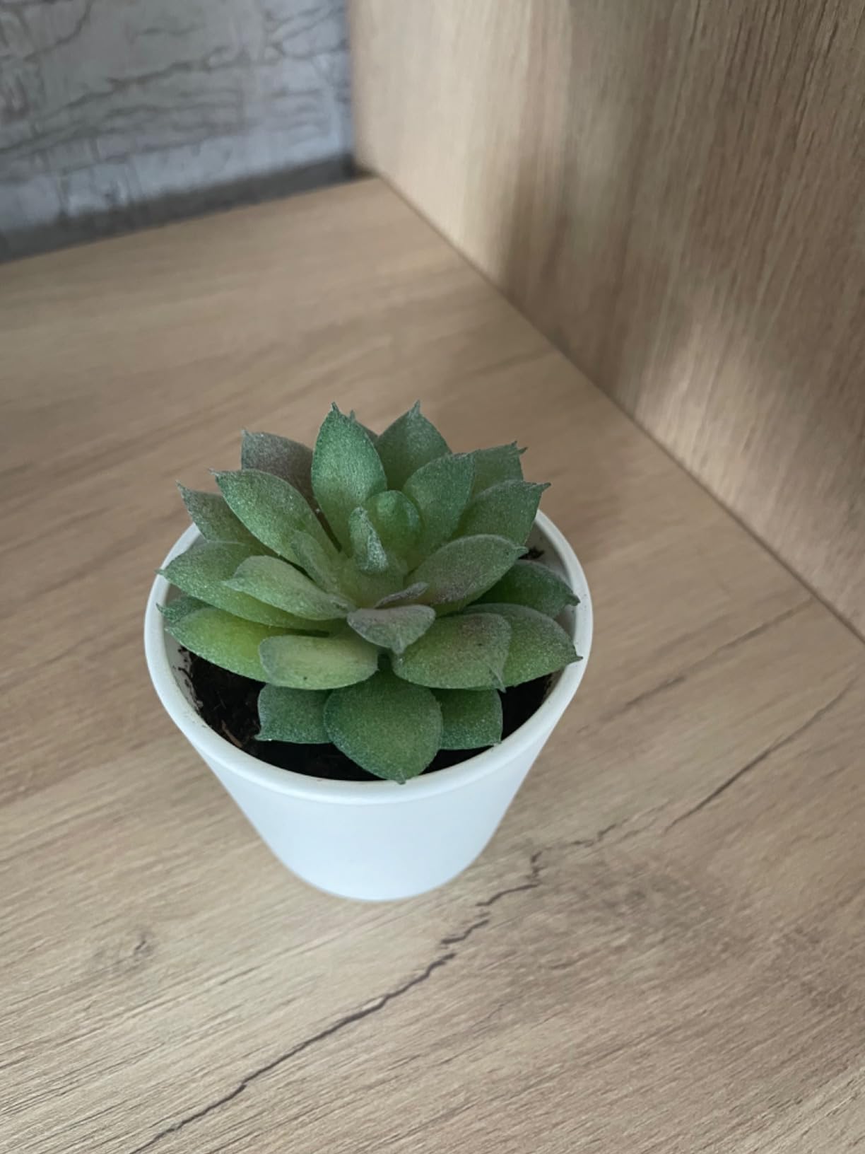 FEPITO Plantes succulentes artificielles vertes x15 mini