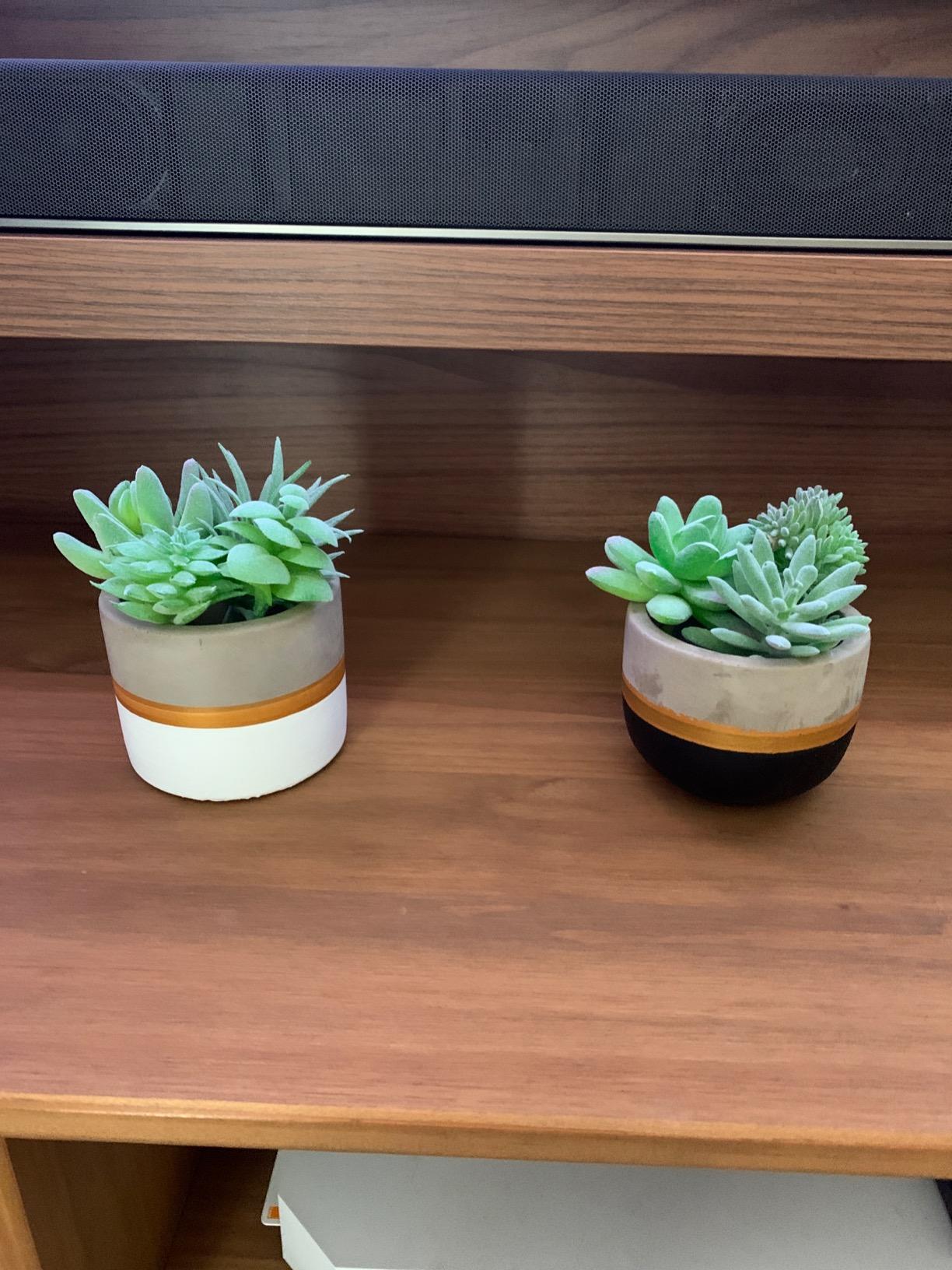 FEPITO Plantes succulentes artificielles vertes x15 mini