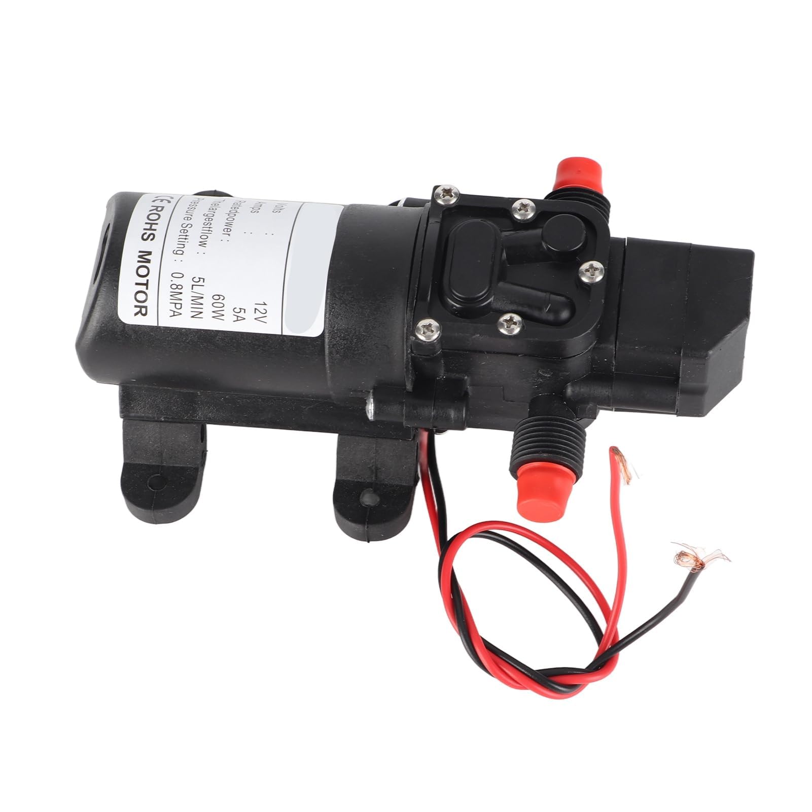 Ejoyous Pompe à eau 12V auto-amorçante 60W 5L/min camping-car bateau