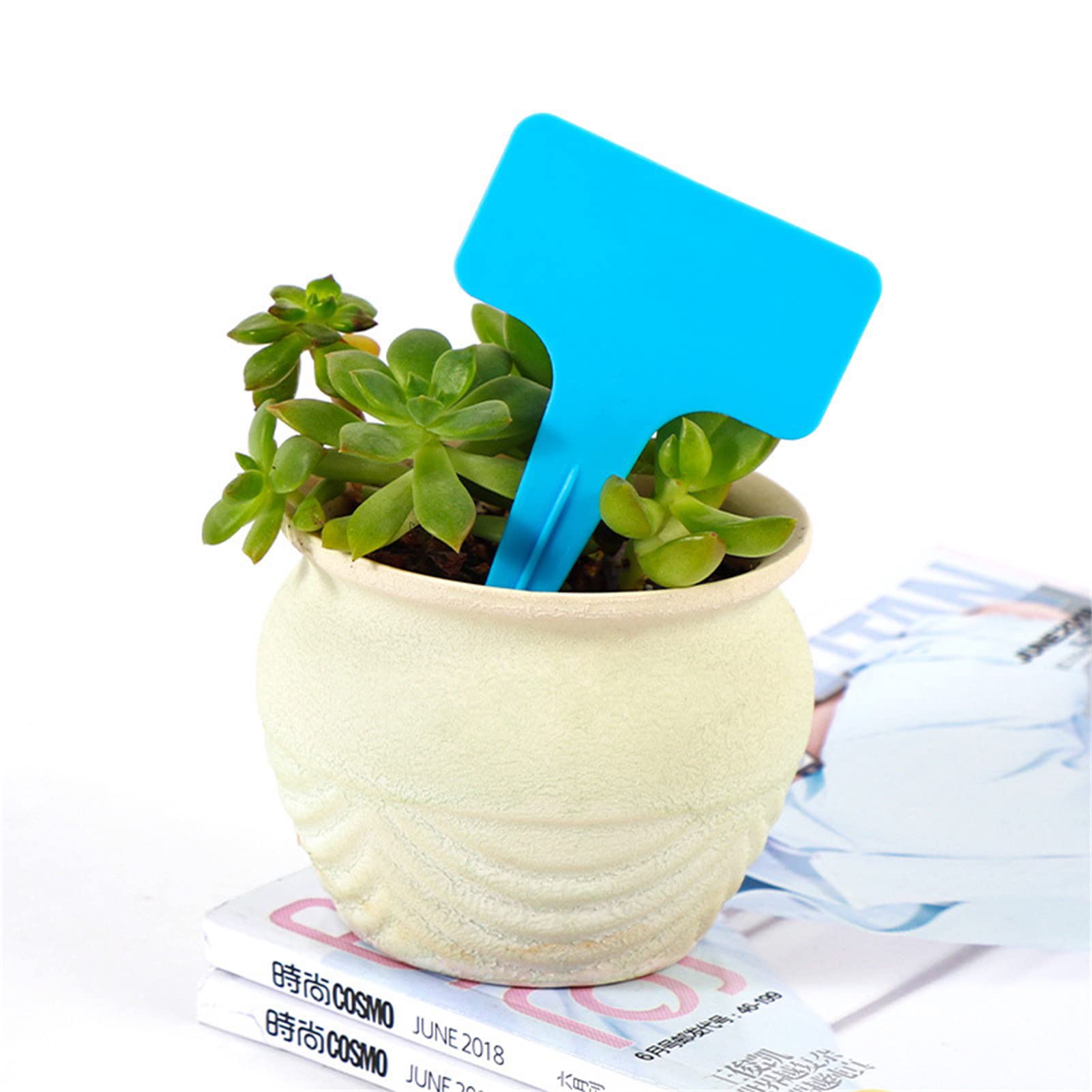 Tissting étiquettes plantes plastique T oranges lot 20