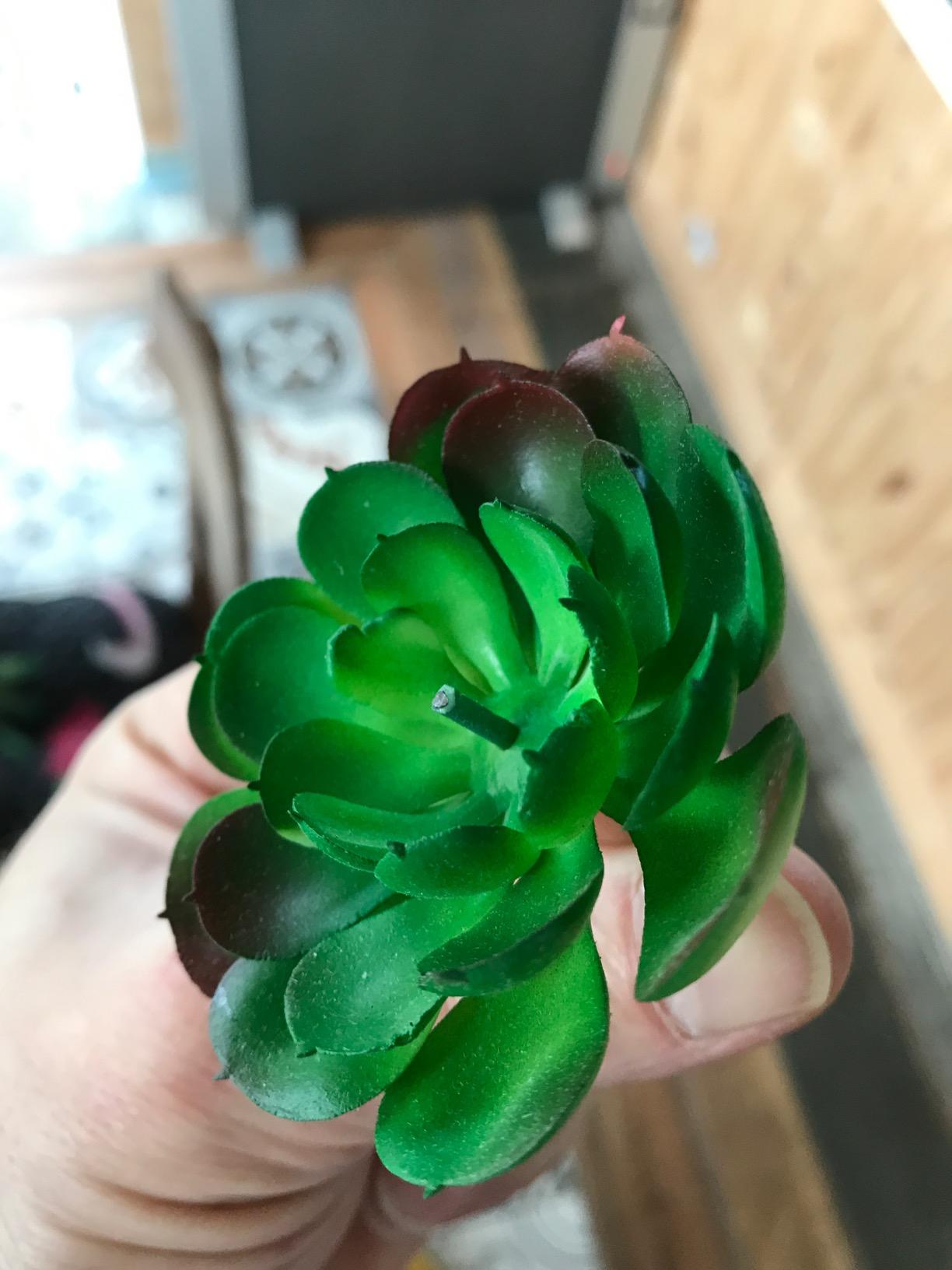 FEPITO Plantes Succulentes Artificielles 20 Pièces Vert Rouge