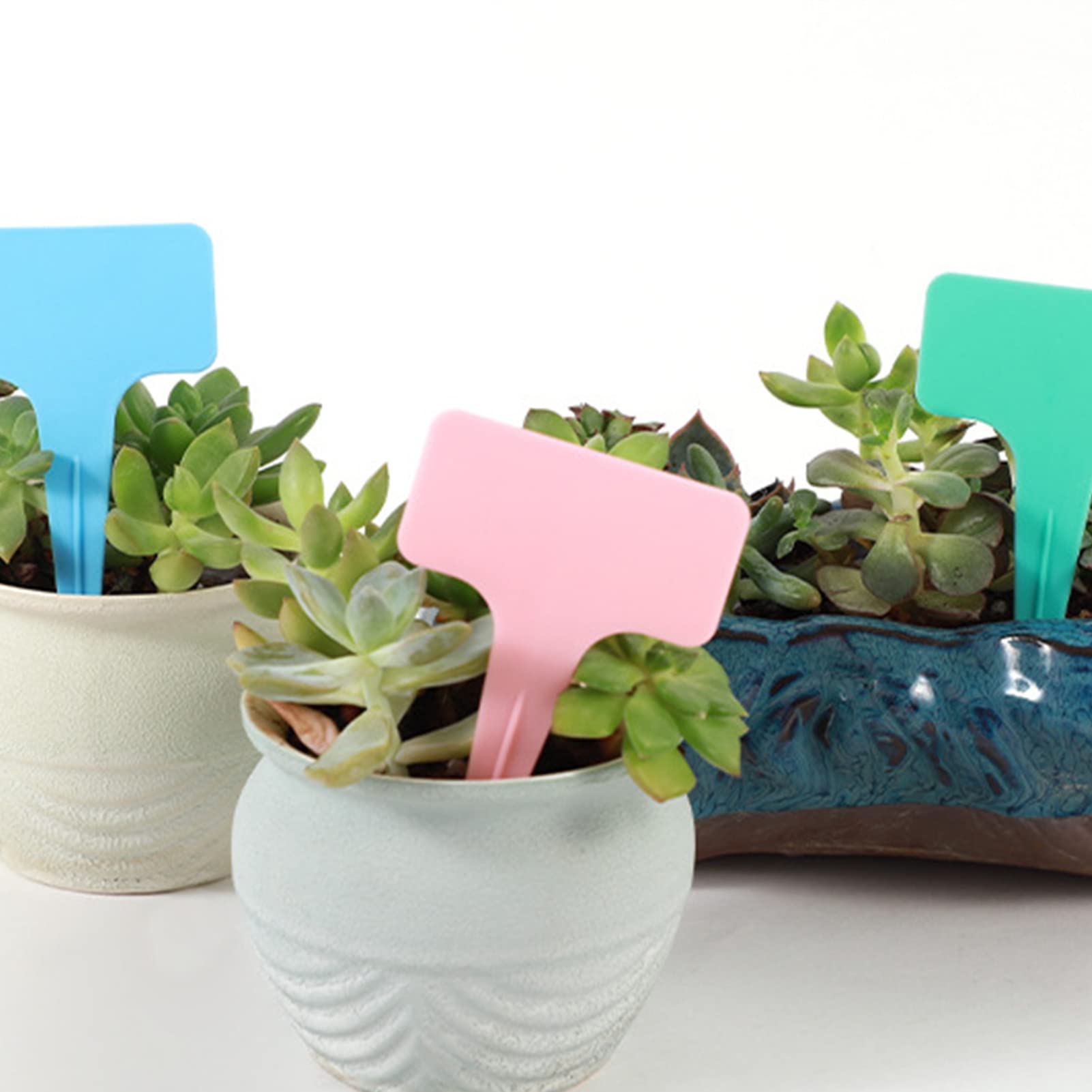 Tissting étiquettes plantes plastique T oranges lot 20
