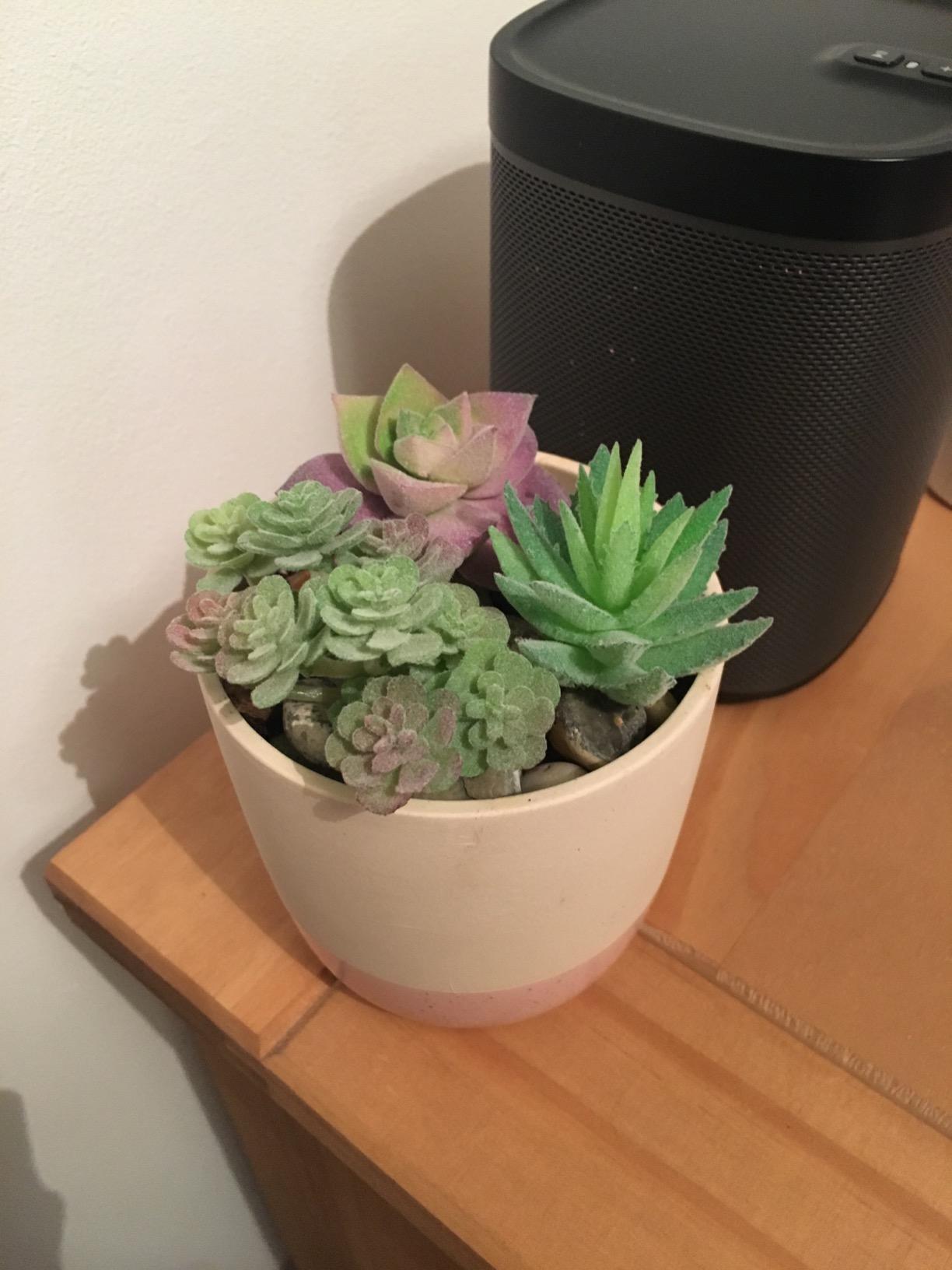 FEPITO Plantes Succulentes Artificielles Vertes 16 Pièces