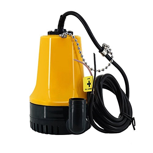 Ejoyous Garden pompe jardin 12V submersible eaux usées