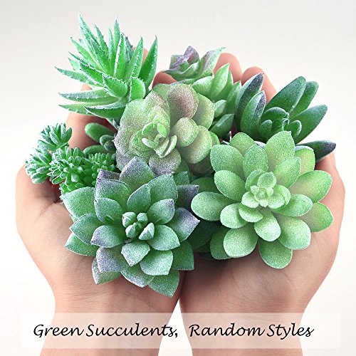 FEPITO Plantes Succulentes Artificielles Vertes 16 Pièces