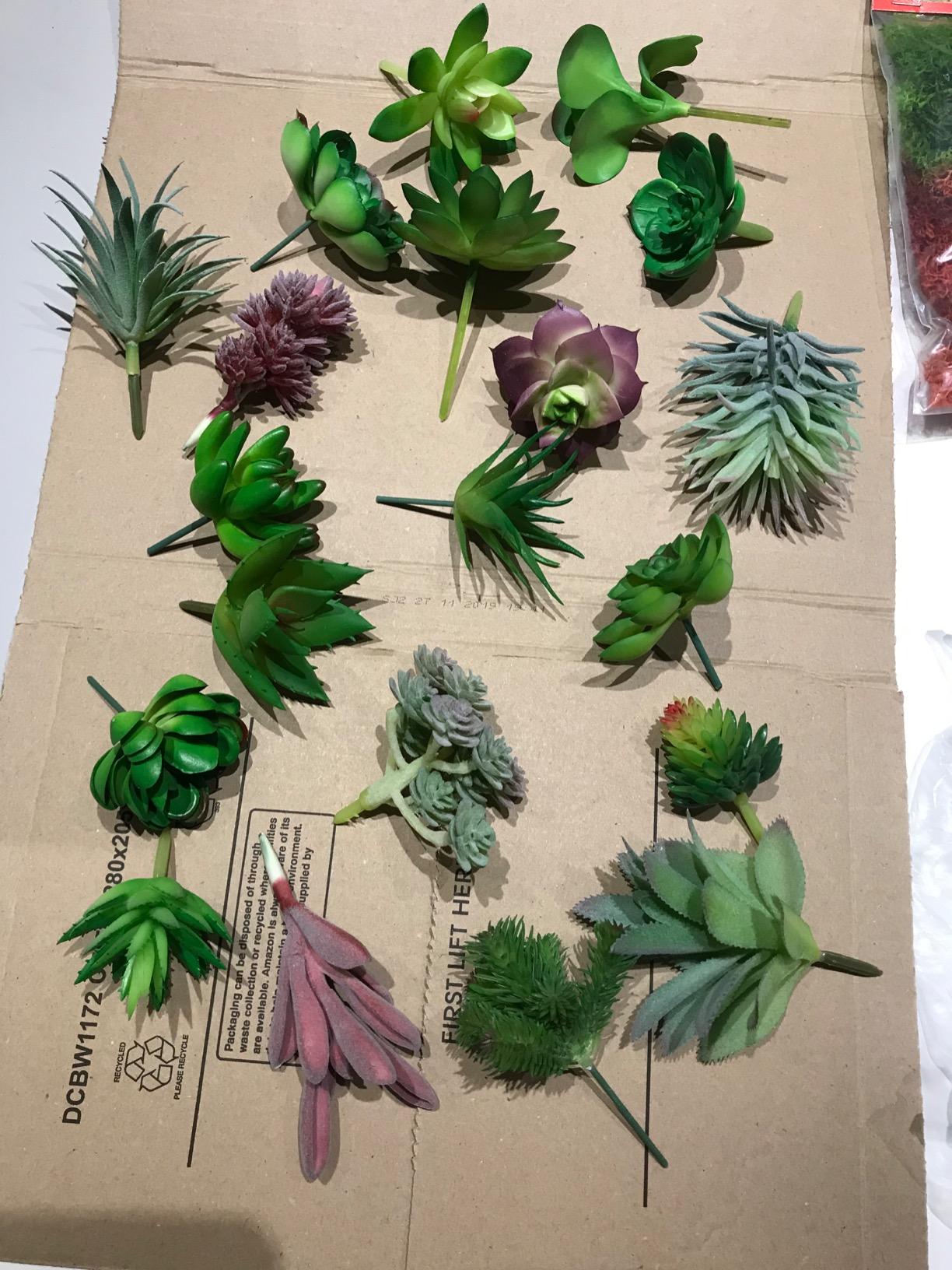 FEPITO Plantes Succulentes Artificielles 20 Pièces Vert Rouge
