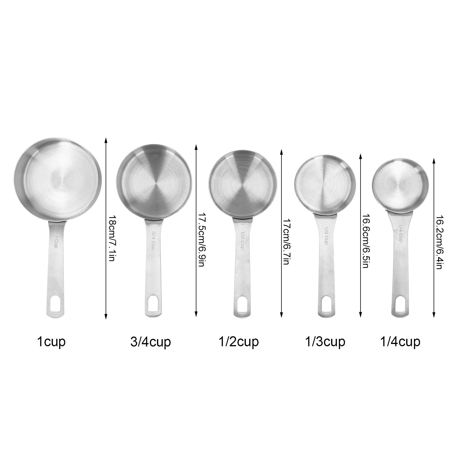 Tissting Tasse à mesurer inox 1/4 cup avec échelle