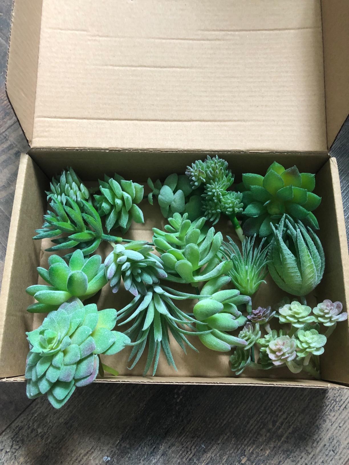 FEPITO Plantes succulentes artificielles vertes x15 mini
