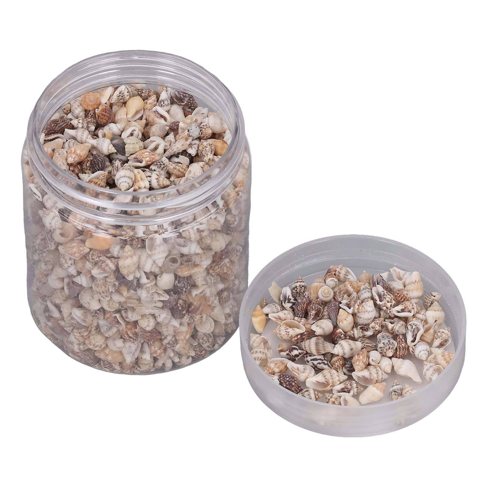 Tissting DIY Petits Coquillages Mer Naturels 7-12 mm