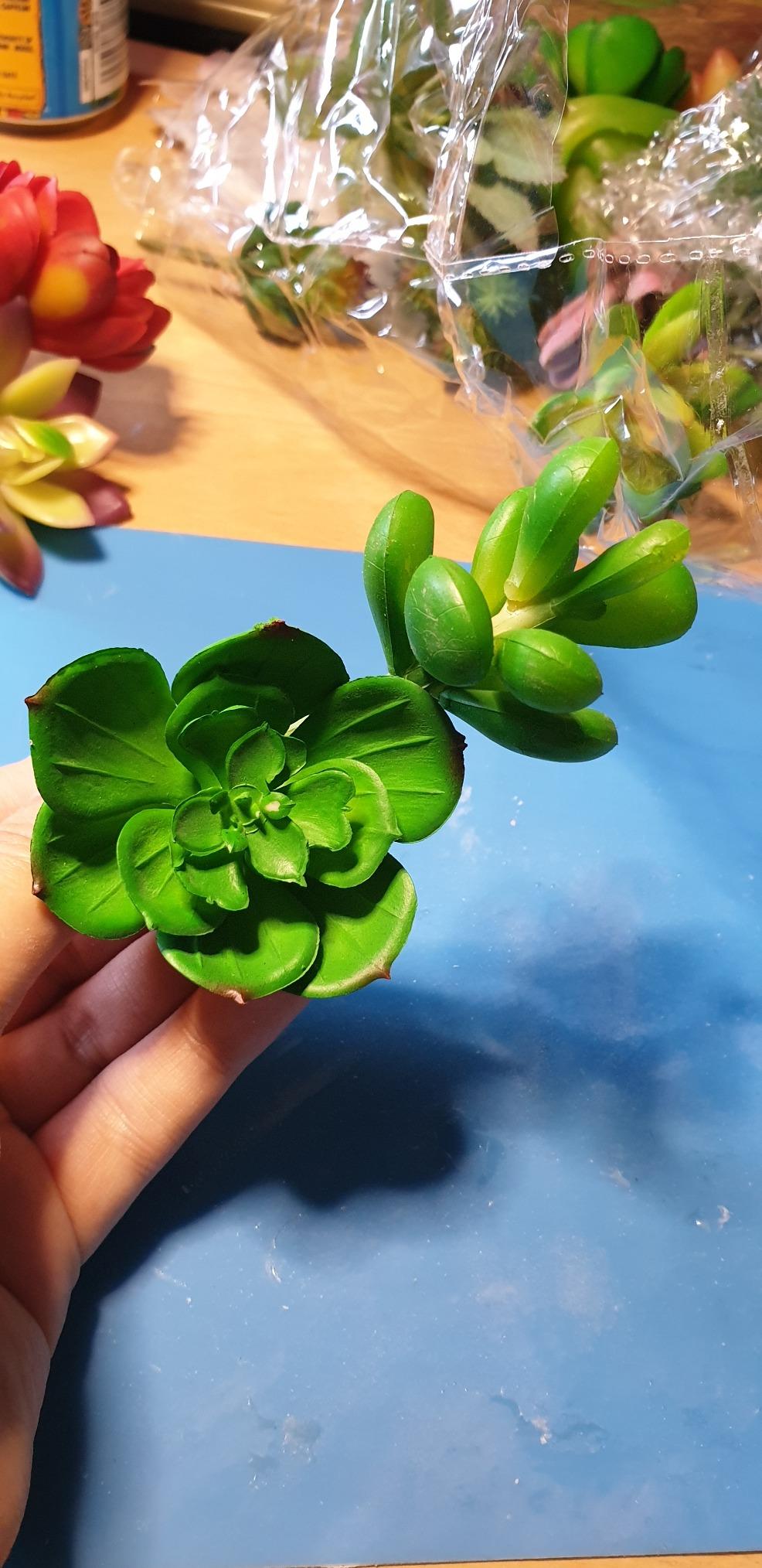 FEPITO Plantes Succulentes Artificielles 20 Pièces Vert Rouge