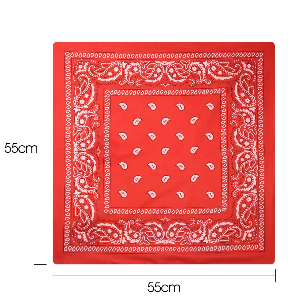 FEPITO Bandanas paisley coton x10 multicolore adulte