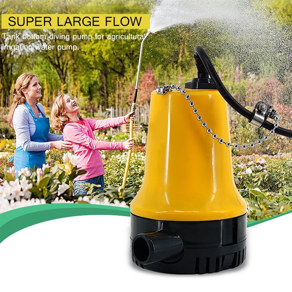 Ejoyous Garden pompe jardin 12V submersible eaux usées