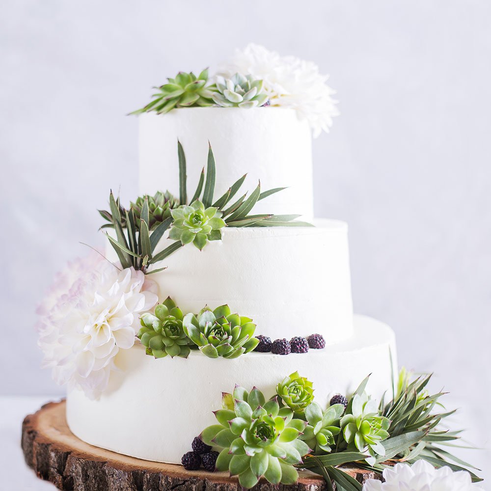 FEPITO Plantes Succulentes Artificielles Vertes 16 Pièces