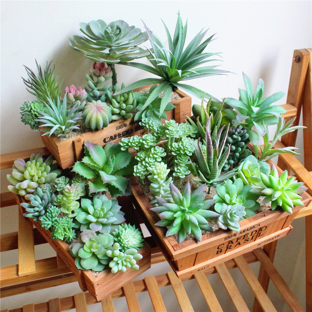 FEPITO Plantes succulentes artificielles vertes x15 mini