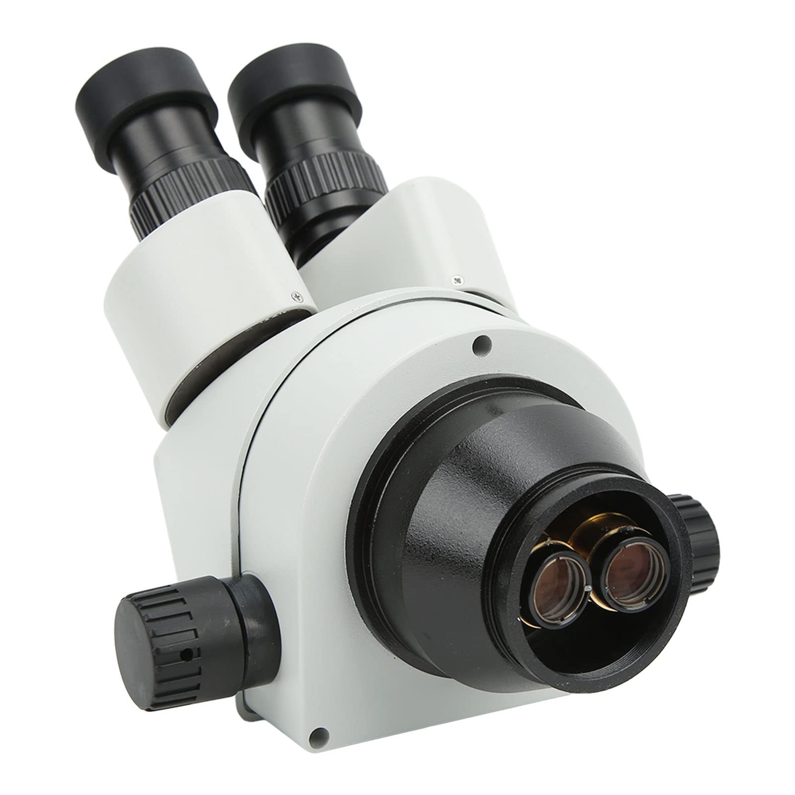 FTVOGUE tête microscope trinoculaire 3,5-90x WF10x