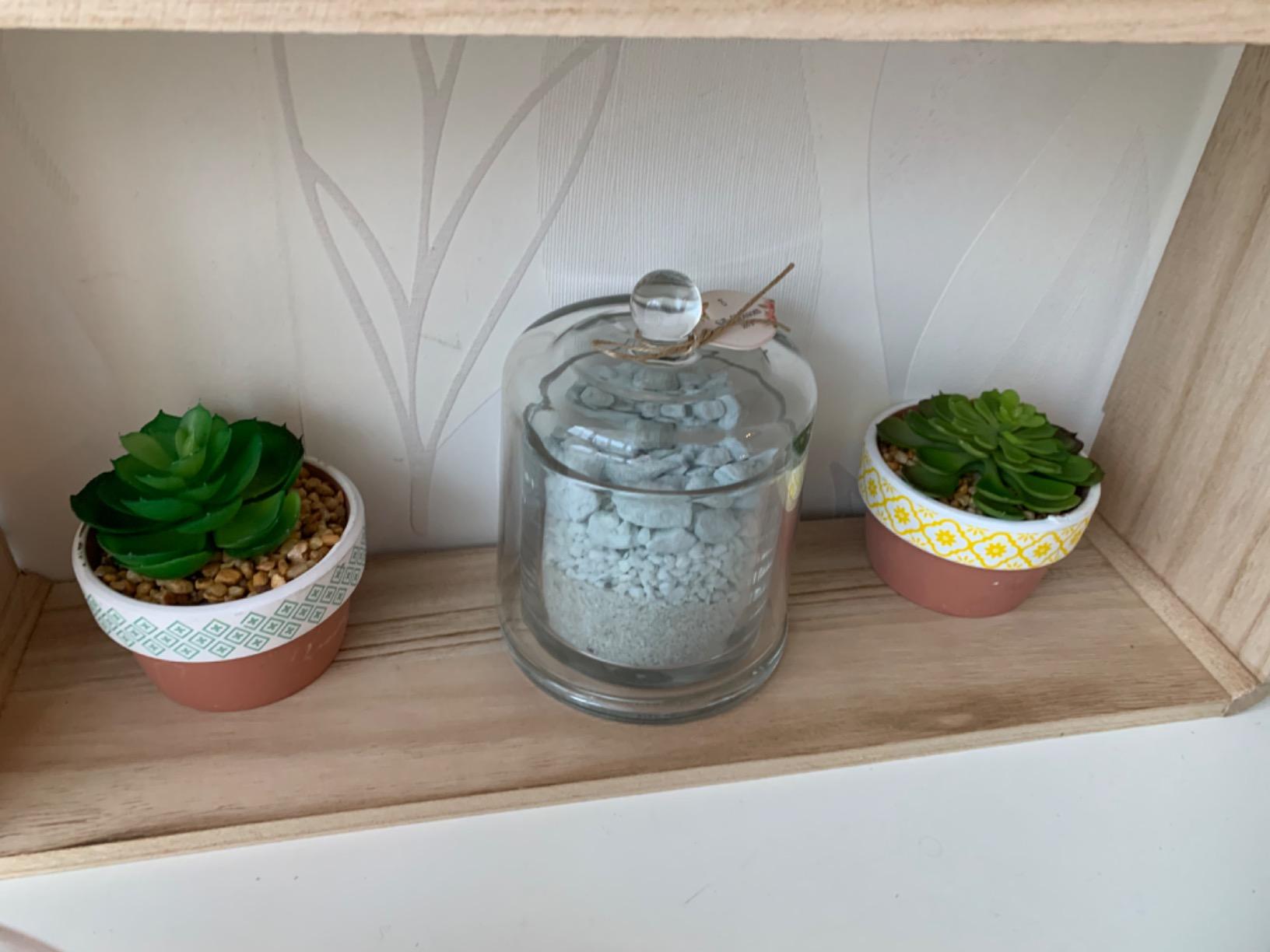 FEPITO Plantes Succulentes Artificielles 20 Pièces Vert Rouge