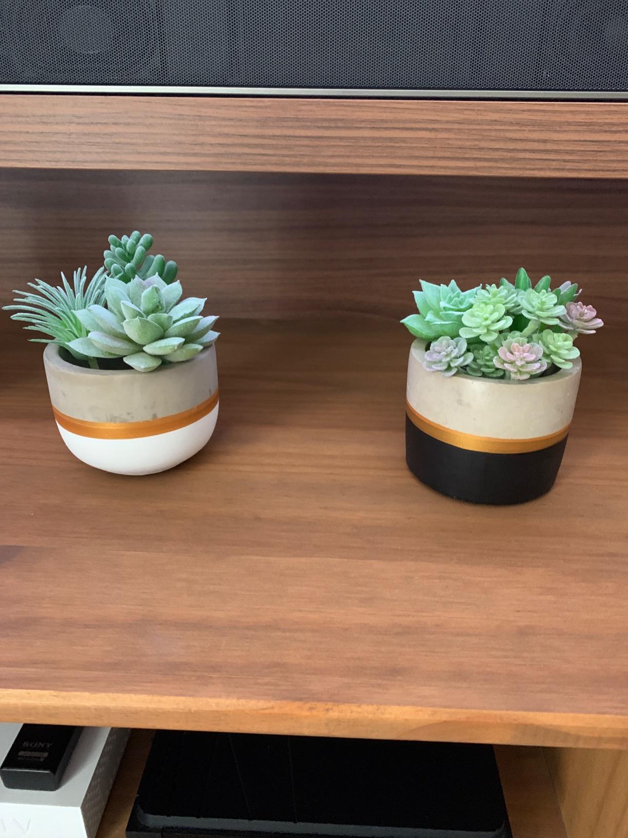FEPITO Plantes succulentes artificielles vertes x15 mini