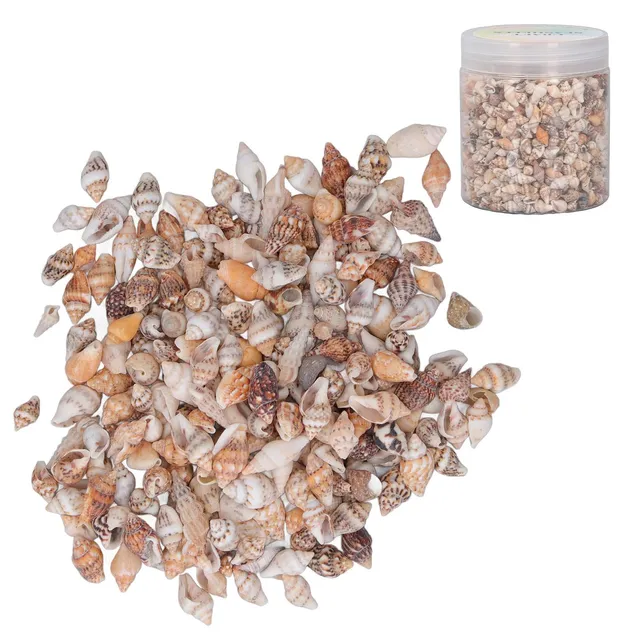 Tissting DIY Petits Coquillages Mer Naturels 7-12 mm